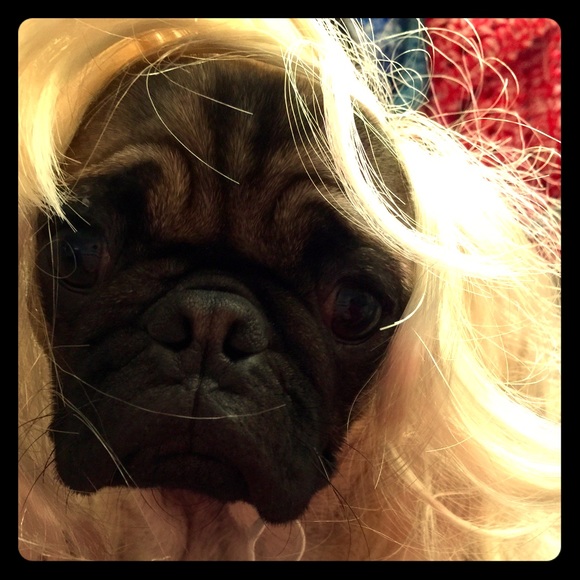 Playing diva - Picture 2 of 2