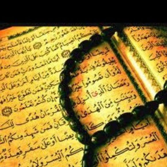 Meet your Posher, Zenab - Picture 1 of 1