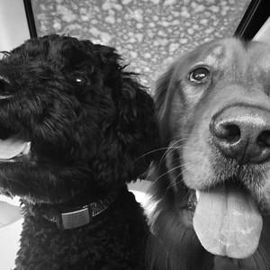 Meet your Posher, Sherie