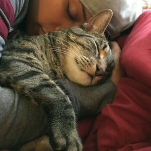 Meet your Posher, Liv