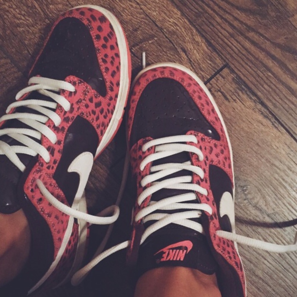 Nike SBs