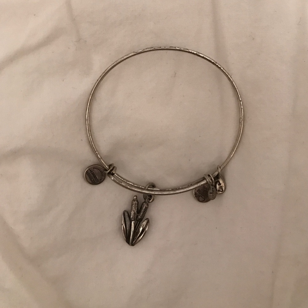Alex & Ani Garden bangle