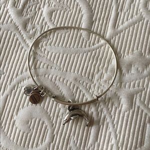 Alex and Ani dolphin bracelet