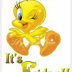 Meet your Posher, Noela