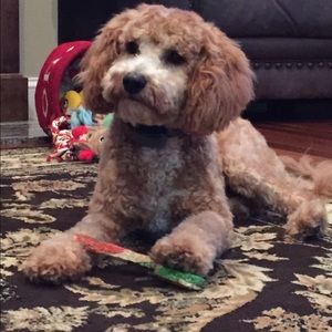 Meet your Posher, Stefanie