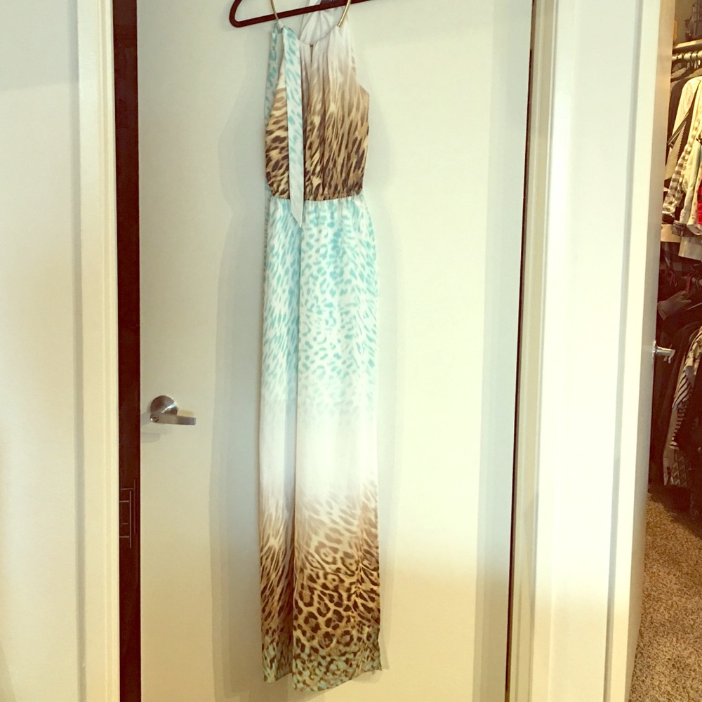 Beautiful Animal print Maxi dress