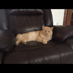 Meet your Posher, Jaime