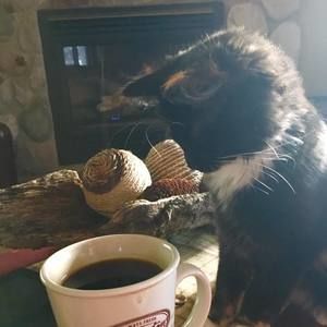 Meet your Posher, Jody