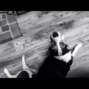 Meet your Posher, Alyssa