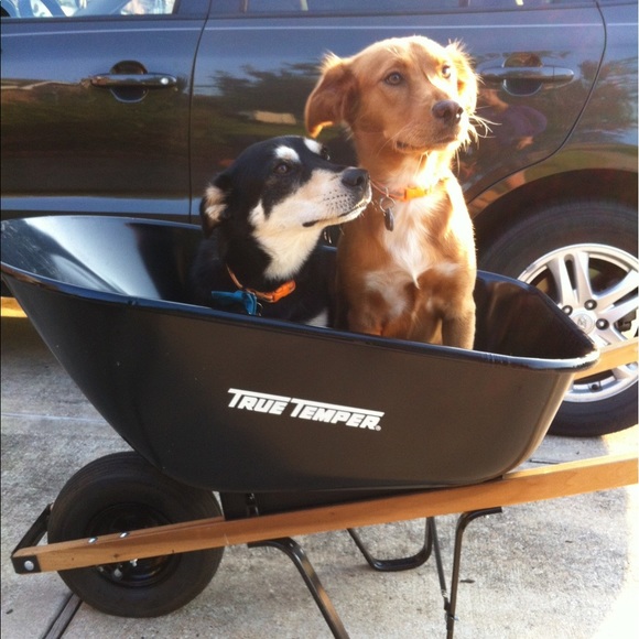 Meet your Posher - Picture 3 of 3