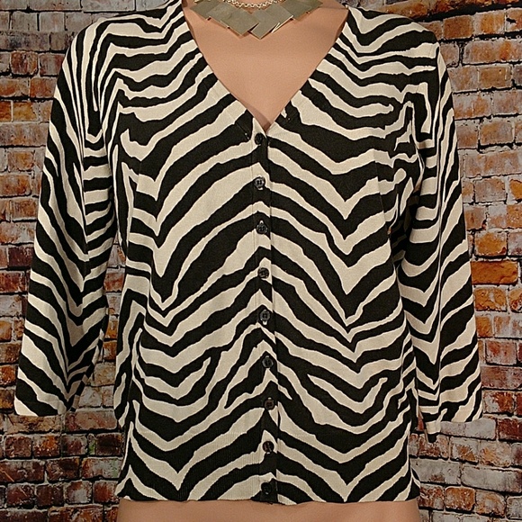 Chaus Sweaters - ‼️CLEARANCE‼️Light Zebra Sweater Medium