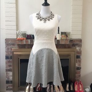 Everleigh Colorblock Polka Dot Skater Dress