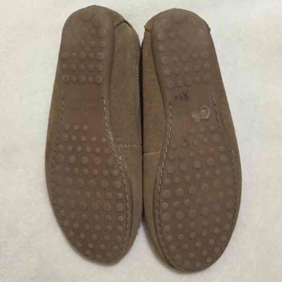 Minnetonka - Picture 4 of 4