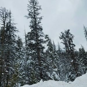 Meet your Posher, Karley