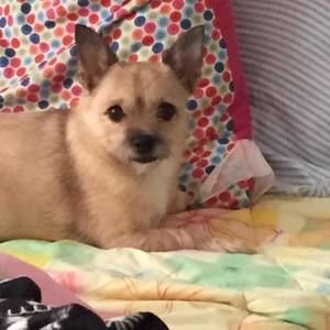 Meet your Posher, Alyssa