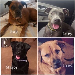 Meet your Posher, Michelle