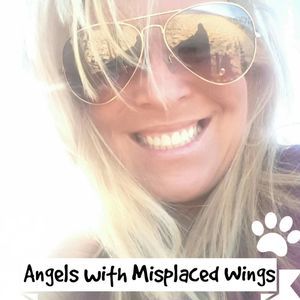 Meet your Posher, Julie ann