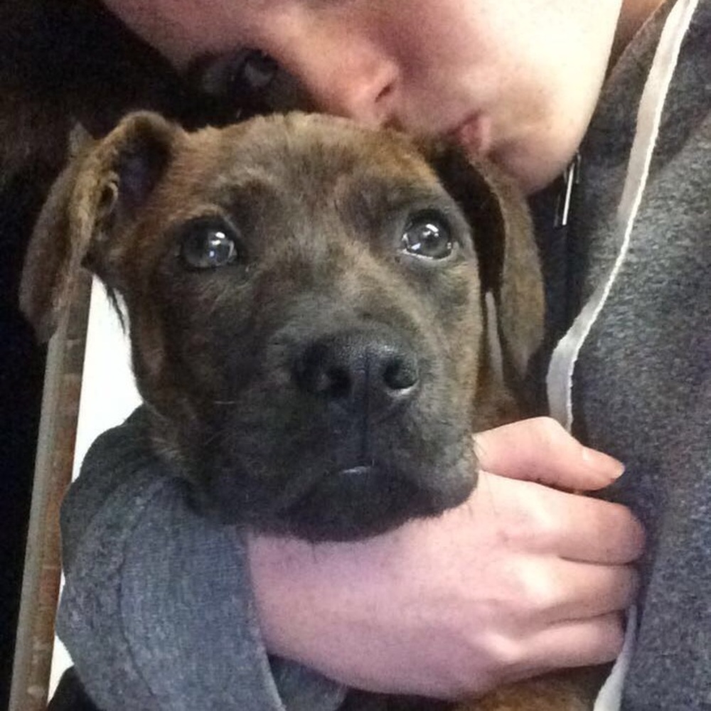 Meet your Posher, Reagan