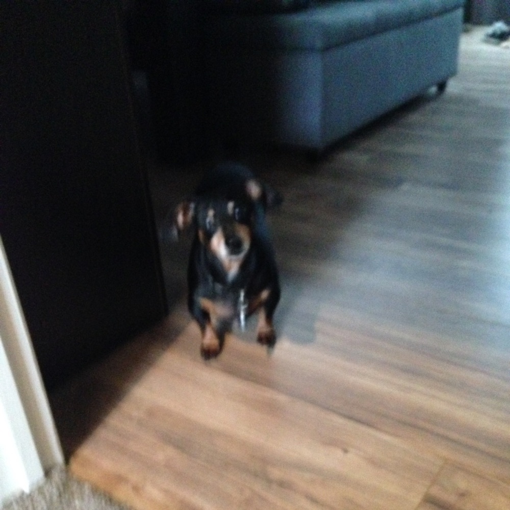 Meet your Posher, Christina