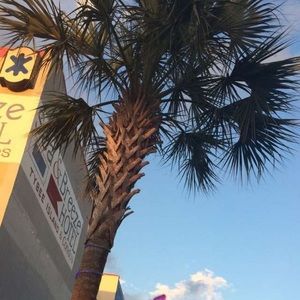 Meet your Posher, Alison