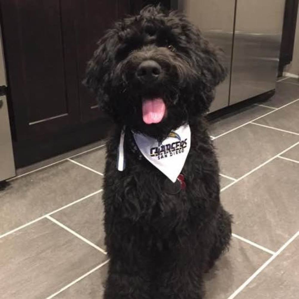 Meet your Posher, Julie