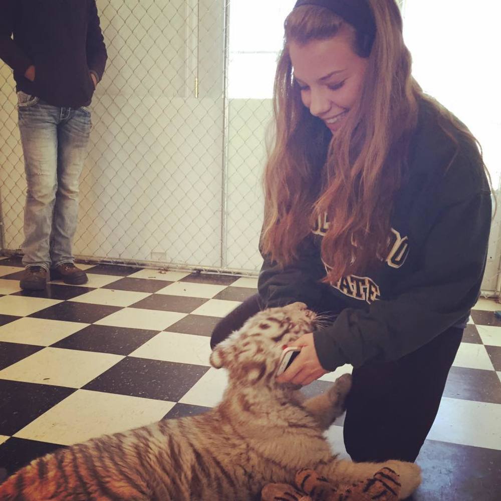 Meet your Posher, Taylor