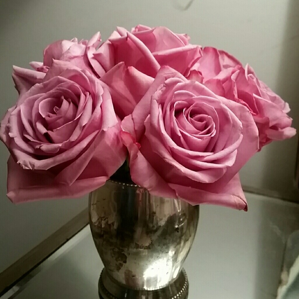 Meet your Posher, Natalie