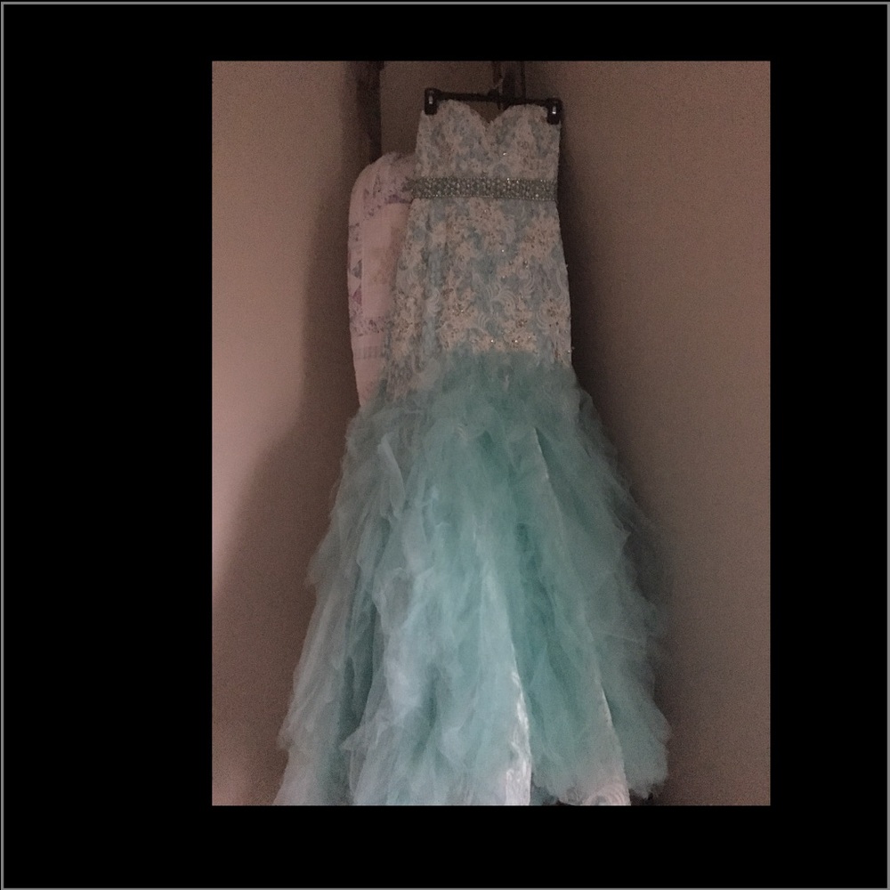 Prom Dress - Picture 4 of 4