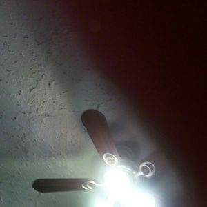 Meet your Posher, Esther