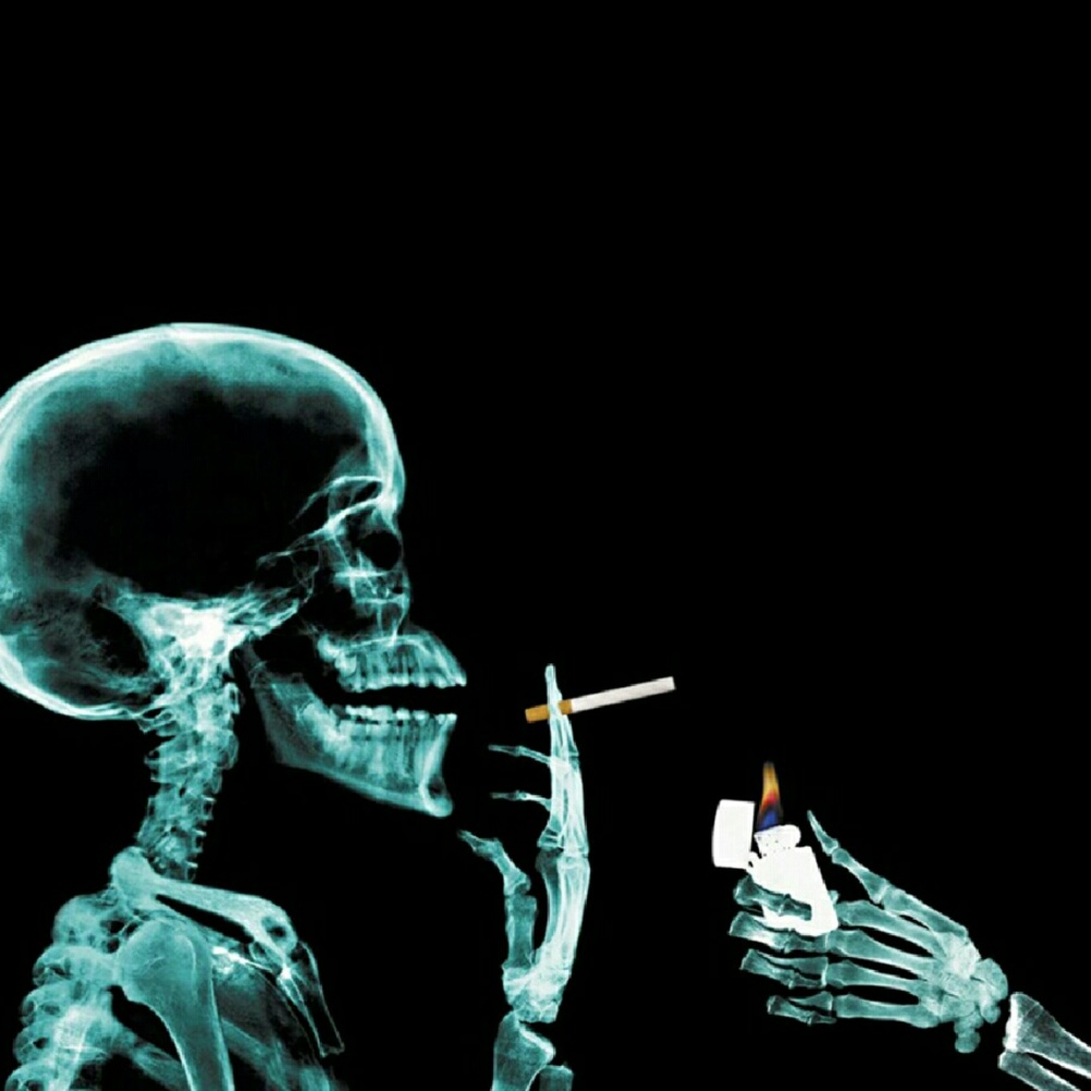 Meet your Posher, Penny