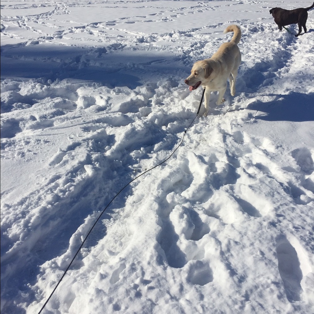 Meet your Posher, Jenapher