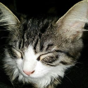 Meet your Posher, Mae