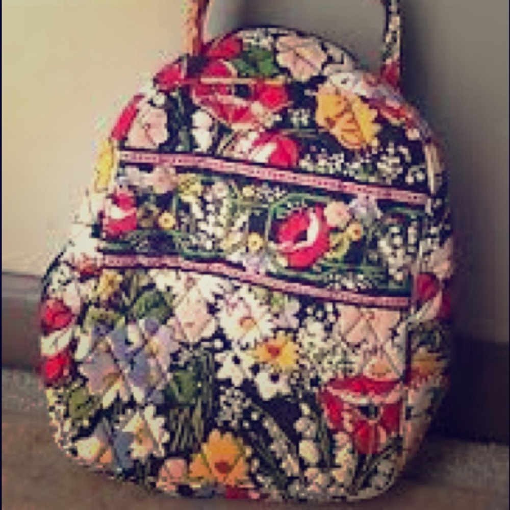Vera Bradley lunch bag