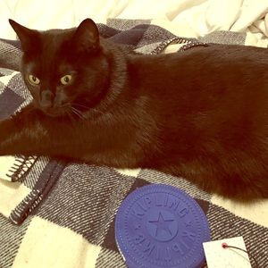 Kipling blue coin purse - new with tags