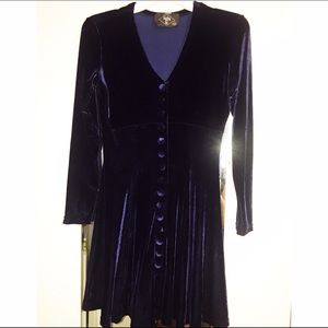 Vintage Blue Velvet Botton Down Skater Dress