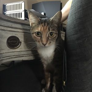 Meet your Posher, Sage