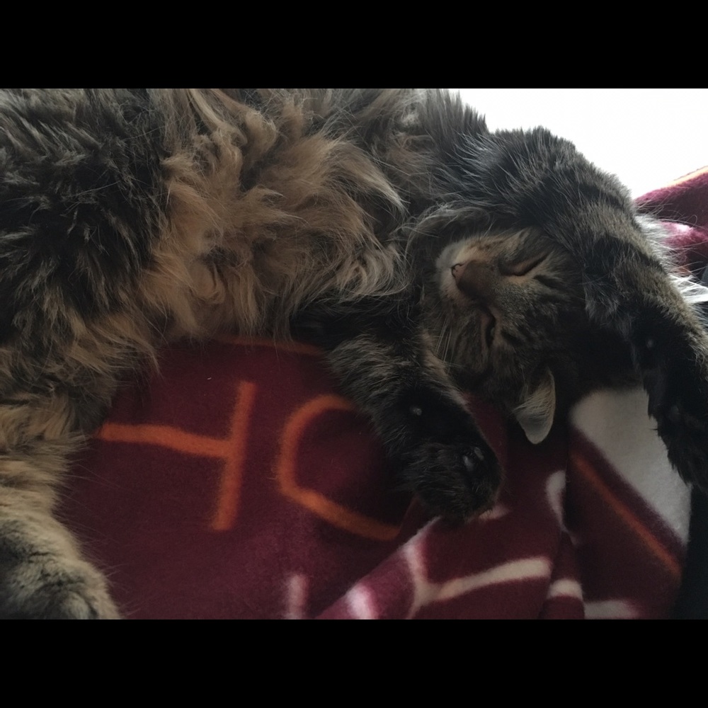 Meet your Posher, Stephanie