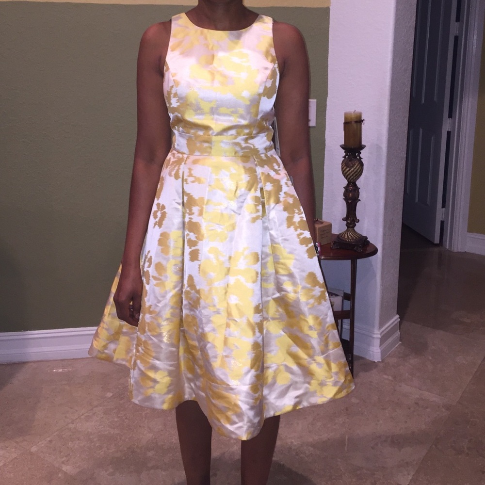 Brand new Eliza J dress