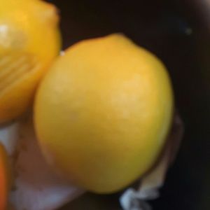 Meet your Posher, Lynn