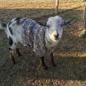 Meet your Posher, Cindy