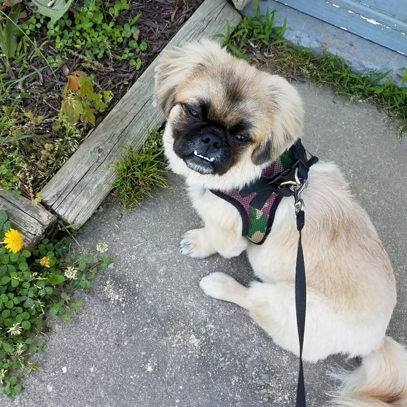 Meet your Posher, Helen - Picture 4 of 4