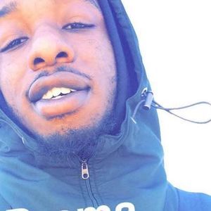 Meet your Posher, Donald