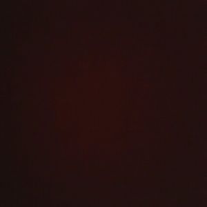 Meet your Posher, Ana