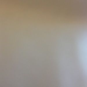 Meet your Posher, Jess