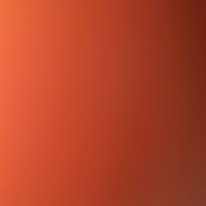 Meet your Posher, Noah