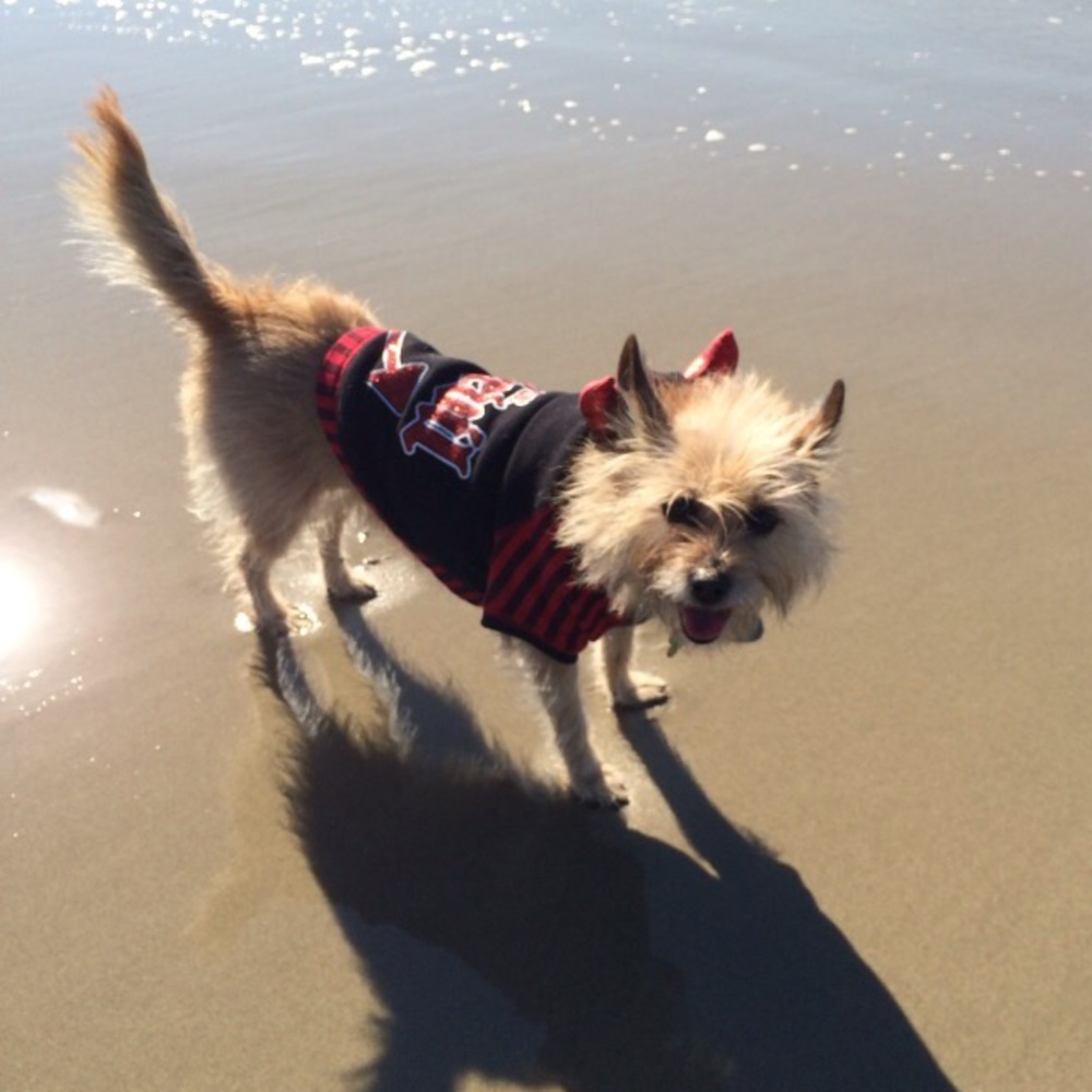 Meet your Posher, Darlene