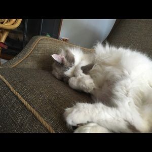 Meet your Posher, Sarah