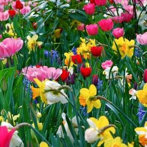 Meet your Posher, Jaime