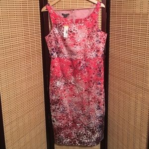 Covington flowers print dress pink size 12 NWT