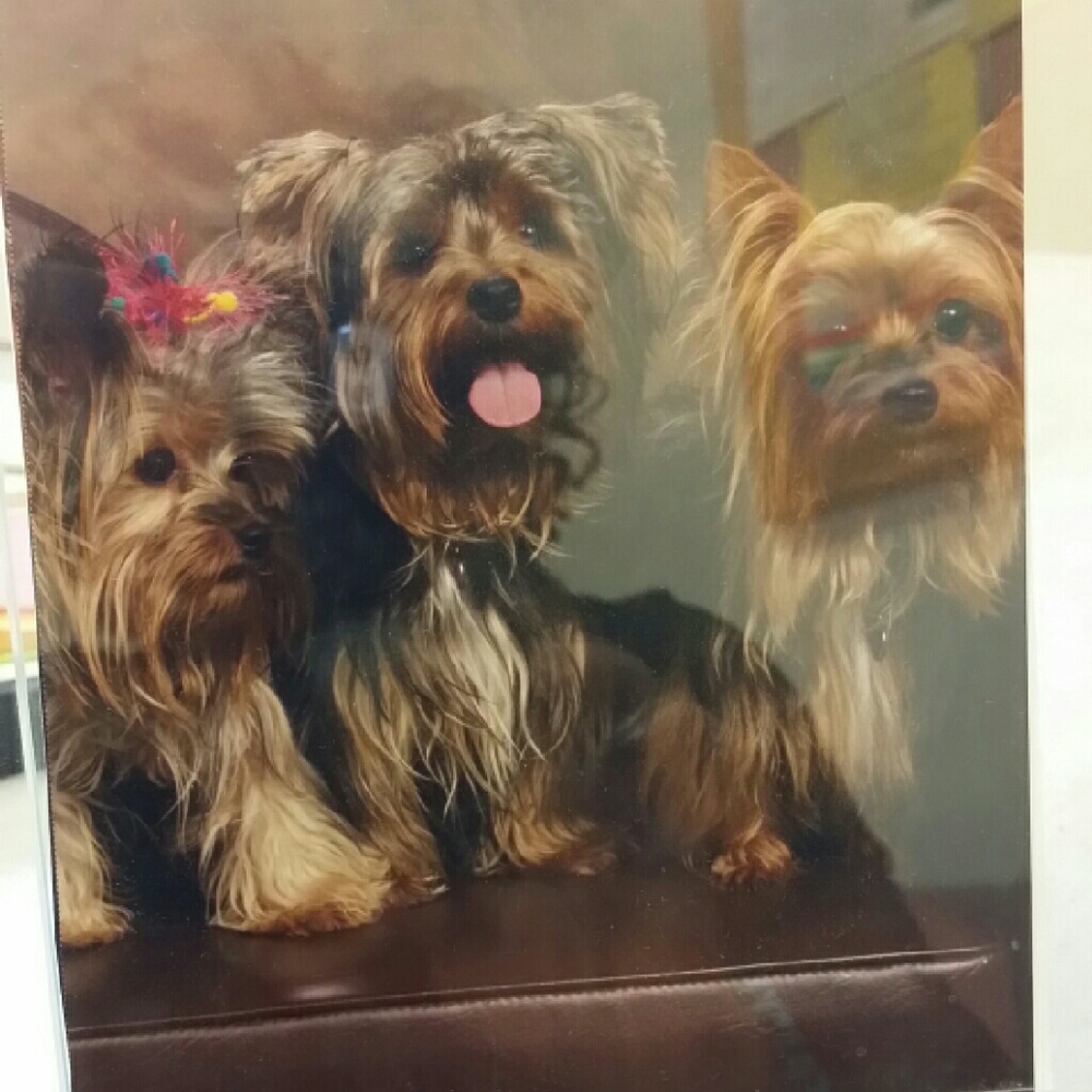 Meet your Posher, Elzatha